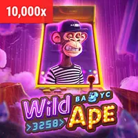 Hoàn trả hàng tuần 88aa