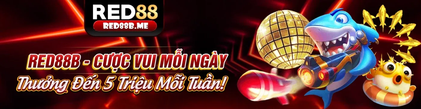 Hình ảnh tổng quan về 88aa link vào, nền tảng cá cược trực tuyến hàng đầu