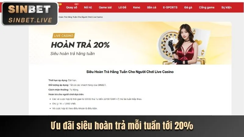 Khuyến mãi hấp dẫn và ưu đãi độc quyền